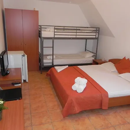 Guest house Pensiunea Iubesc Marea 3*