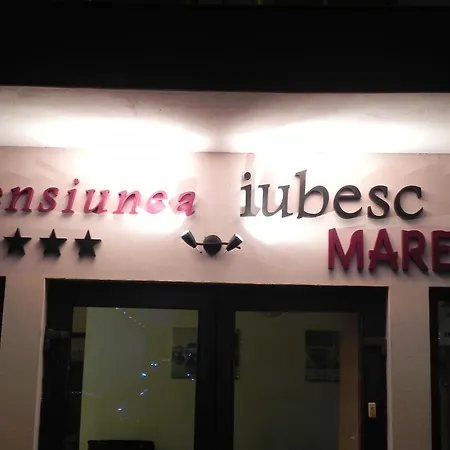 Pensiunea Iubesc Marea コスティネシュティ